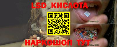 стафф Гусев