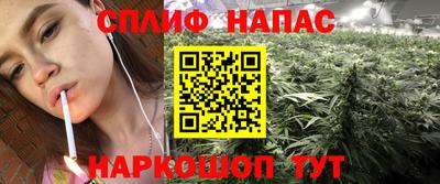 стафф Гусев
