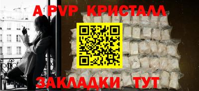 стафф Гусев