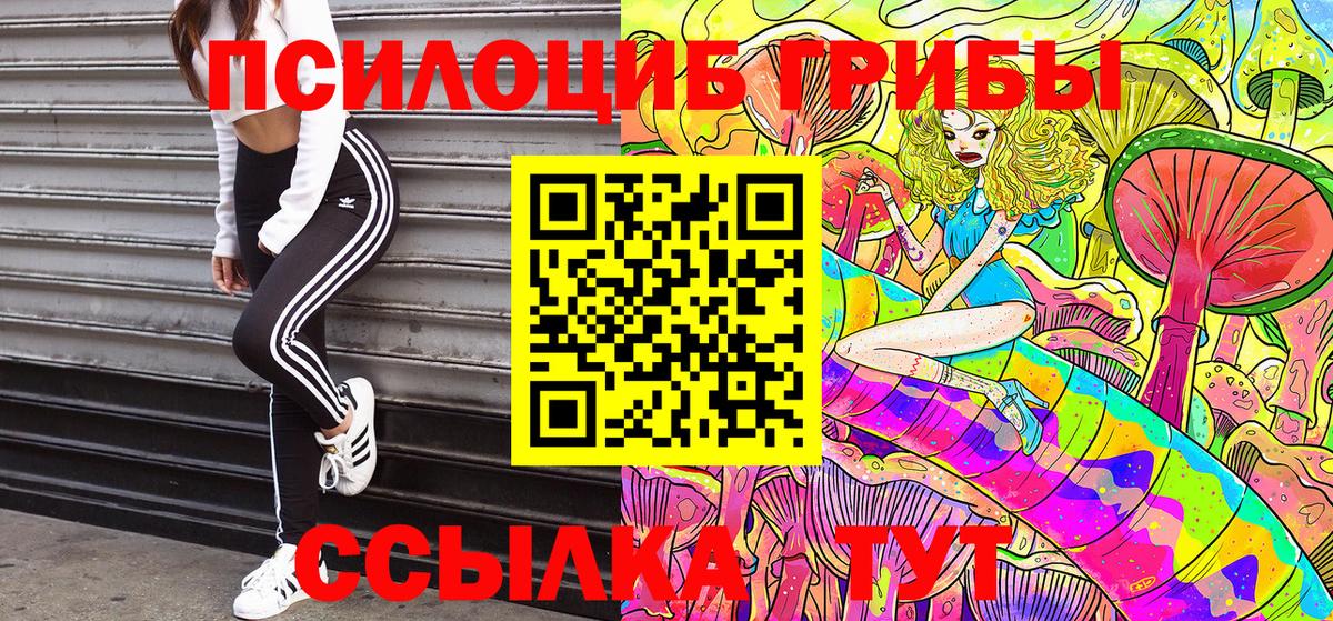 Псилоцибиновые грибы GOLDEN TEACHER Мегион