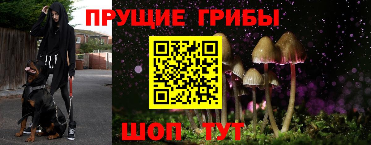 Галлюциногенные грибы Magic Shrooms  Вход с VPN  Мегион 